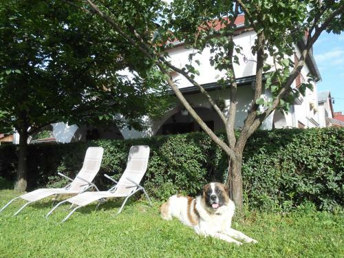 Hostal Guest House Marketti