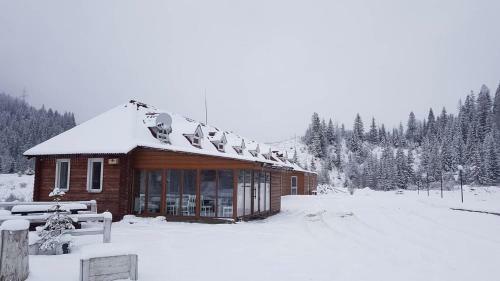 Lodge Dream Forest