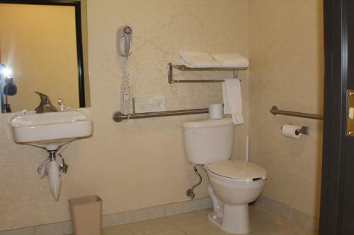 Hotel Silverland Inn & Suites