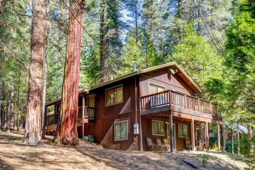 1s Cecil's Cabin