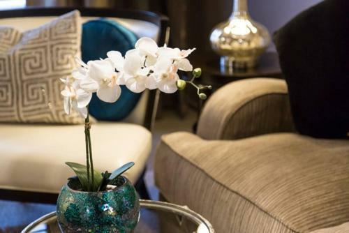 Apartamento Designer Home Slc