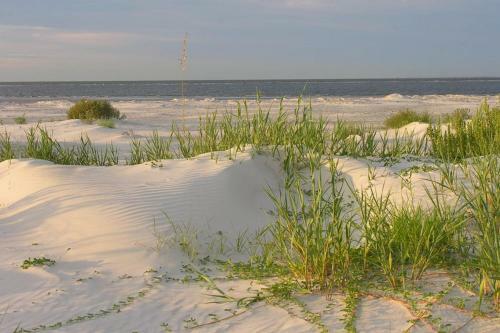 St. Simons Retreat