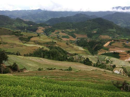 Lodge Hello Mu Cang Chai Homestay