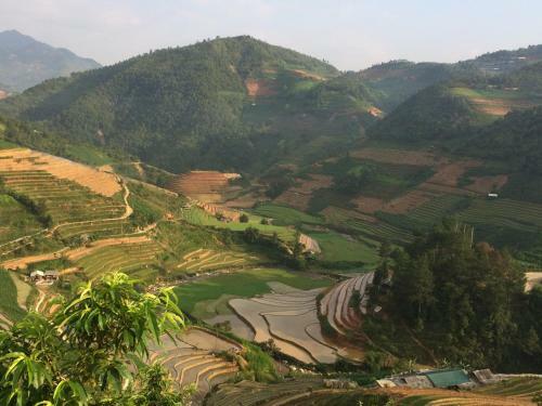 Lodge Hello Mu Cang Chai Homestay