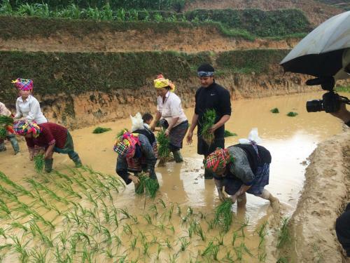 Lodge Hello Mu Cang Chai Homestay