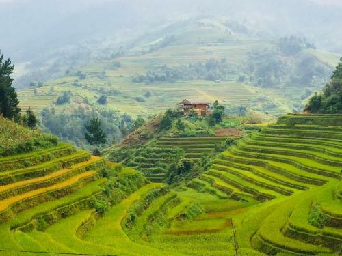 Lodge Hello Mu Cang Chai Homestay