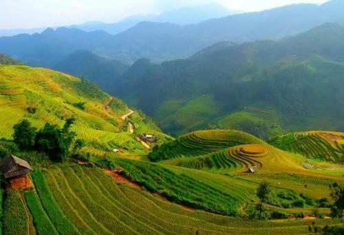 Lodge Hello Mu Cang Chai Homestay