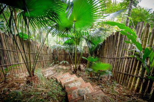 Lodge Mai Chau Palm House