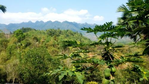 Lodge Mai Chau Palm House