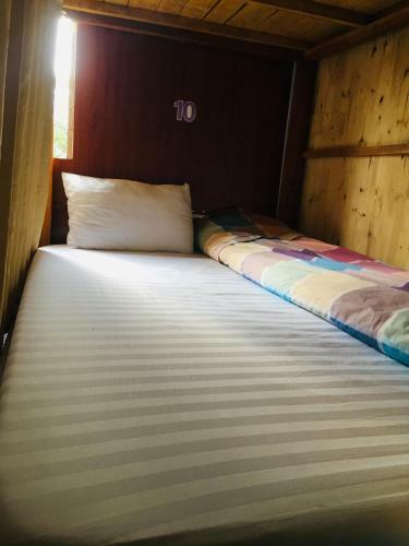 Bed & Breakfast Green Hill Hostel & Tour