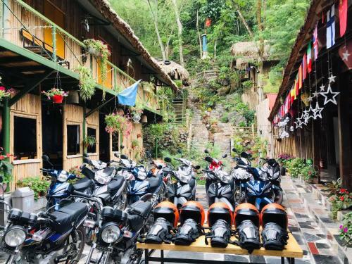 Bed & Breakfast Green Hill Hostel & Tour