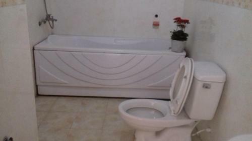 Hostal Tic Guest House