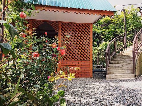 Hostal Guest House Elmas