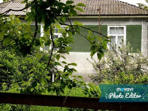 Hostal Guesthouse On Adleiba 77