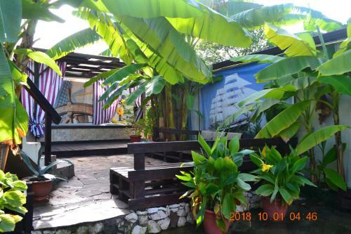 Hostal U Palycha Guest House