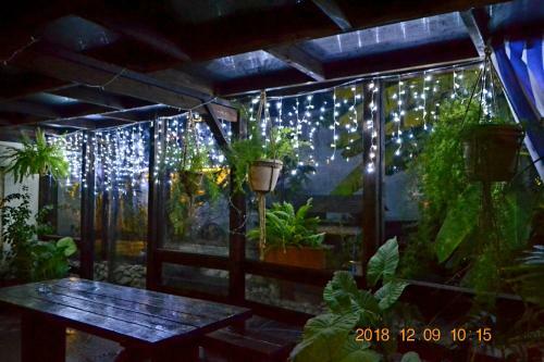 Hostal U Palycha Guest House