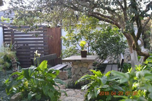 Hostal U Palycha Guest House