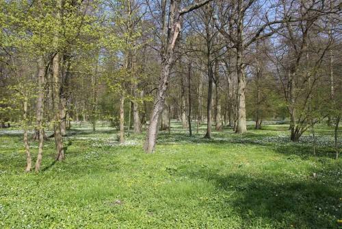Apartamento Ferienhaus Breege Rueg 2051