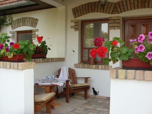 Apartamento Cinege Vend�gh�z
