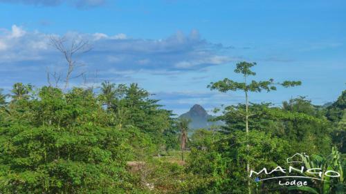 Hotel Mango Lodge