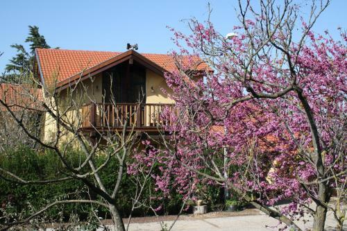 Lodge Suzanna In Odem