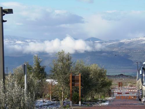 Apartamento Biktot Hamatzok - Eucalyptus