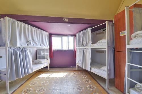 Roger�s Hostel Tel Aviv (age 18-45)