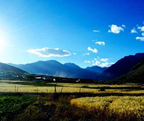 The Nomad's Cottage-losar Spiti Valley