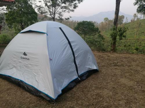 Green Garden Tents