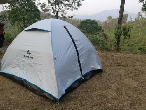 Green Garden Tents