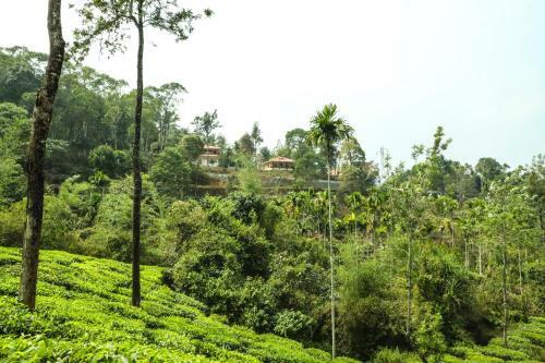 Green Garden Tents