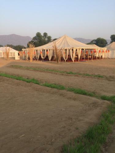 Pushkar Desert Camp