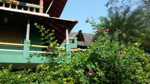 Posada Green's Guesthouse