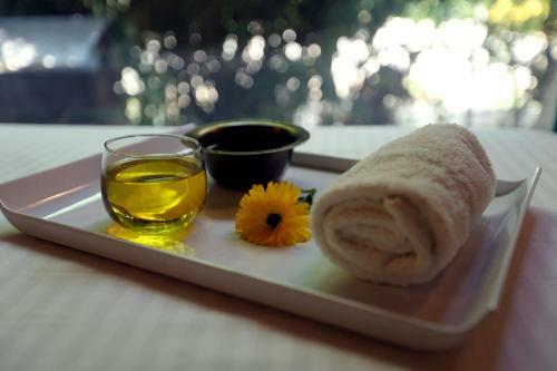 Hotel Acorn Hideaway Resort & Spa