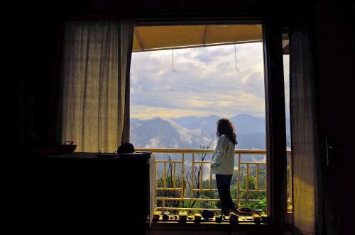 Birdsong & Beyond By Opensky