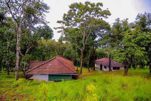 Aadhavana Homestay - Sakleshpur