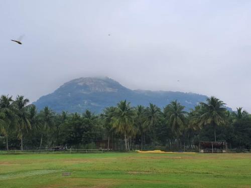 Agroturismo Nannilam Organic Farm Stay