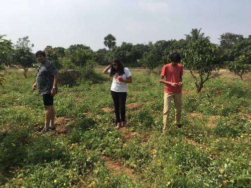 Agroturismo Nannilam Organic Farm Stay