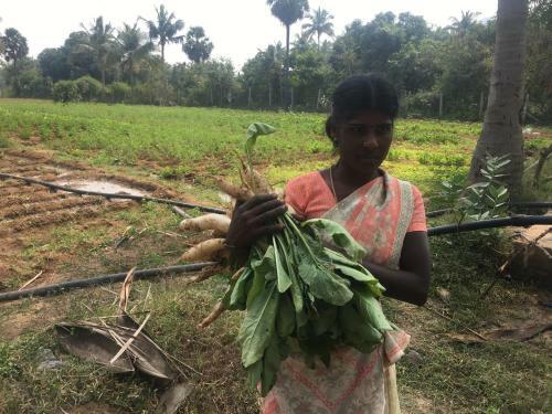 Agroturismo Nannilam Organic Farm Stay