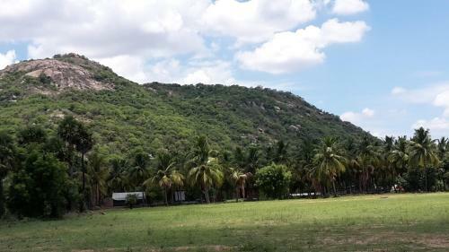 Agroturismo Nannilam Organic Farm Stay
