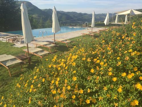 Agroturismo Agriturismo Corte Dei Mori