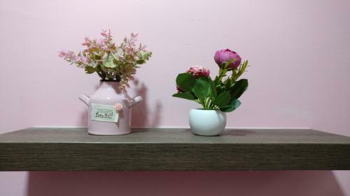 Boutique Homestay