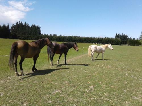 Agroturismo Rosabella