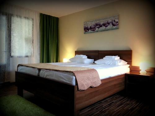 Hostal Cazare La Troita