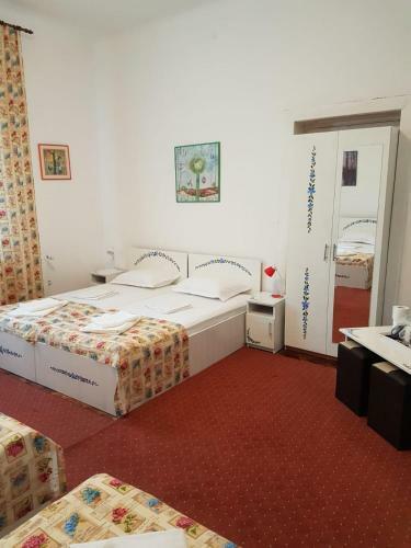 Hostal Pensiunea Geostar 2