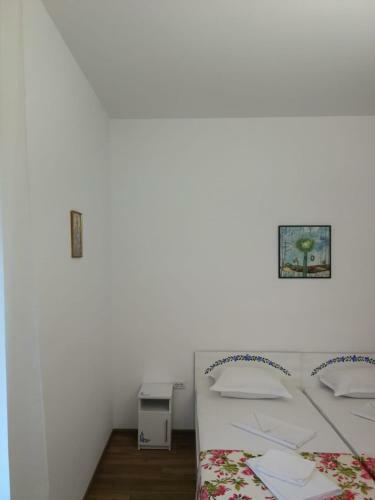 Hostal Pensiunea Geostar 2