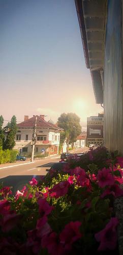 Hostal Pensiunea Geostar 2