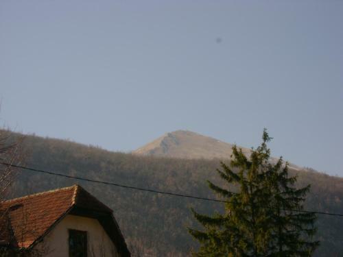 Holiday House " Family Radivojevic"