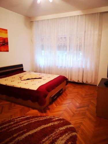 Hotel Vila Andreea