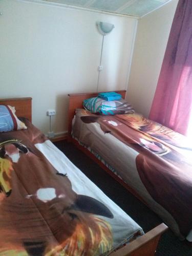 Hostal ???????? ??? ?? ?????????? ????? 2